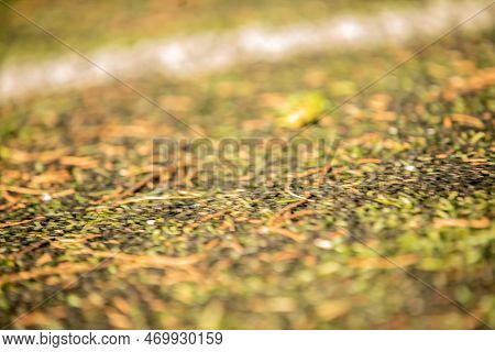 Stock Image Kid Game Football. Difocused Image