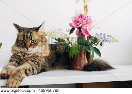 Cute Cat Sitting At Summer Flowers Bouquet In Vintage Vase On White Table. Home Decor And Pets. Seri