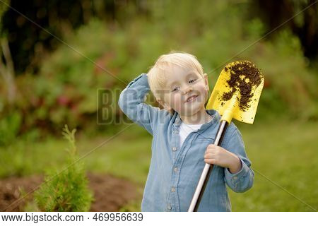 Little Boy Planting Tuya Bushes In The Yard. Seasonal Works In The Garden. Landscape Design. Child I