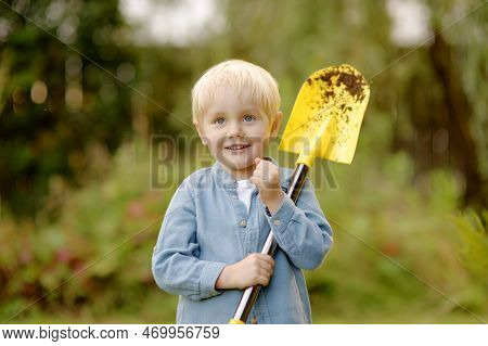 Little Boy Planting Tuya Bushes In The Yard. Seasonal Works In The Garden. Landscape Design. Child I