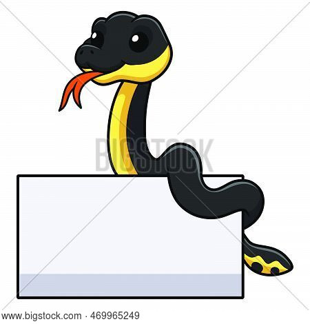 Vector Illustration Of Cute Yellow Bellied Sea Snake Cartoon With Blank Sign