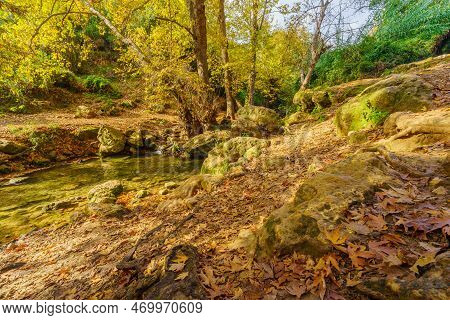 View Of Rocks, Trees, Water Stream And Fall Foliage, In The Amud Stream Nature Reserve, Upper Galile