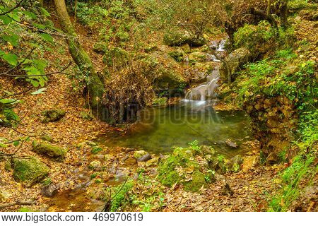 View Of Rocks, Trees, Water Stream And Fall Foliage, In The Amud Stream Nature Reserve, Upper Galile
