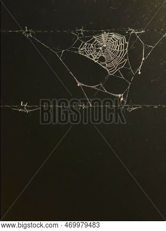 Spiderweb Covered In Water Droplets On A Misty Autumn Night