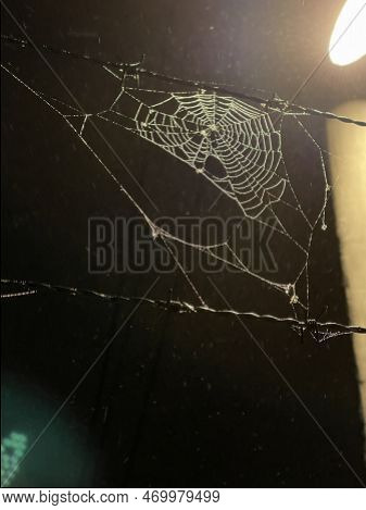 Street Lamp Shining On Spiderweb Covered With Rain Water Droplets On A Foggy Autumn Night