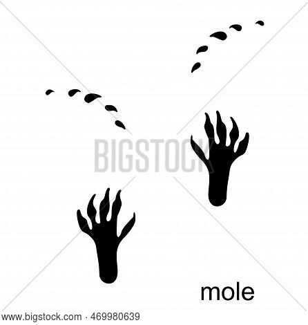 Mole Footprint, Mole Track. Mole Steps. Handprint In Black Color. Vector Illustration Isolated On Wh