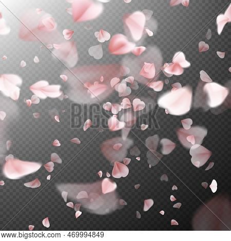Bright Cherry Petals Fall Down. A Lot Of Pink Petals On Transparent Background. Nature Backdrop. Eps