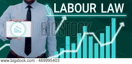 Text Caption Presenting Labour Law. Conceptual Photo Rules Implemented By The State Between Employer