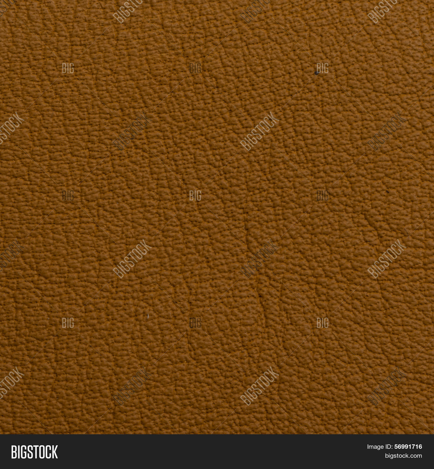 Leather Texture Image & Photo (Free Trial) | Bigstock