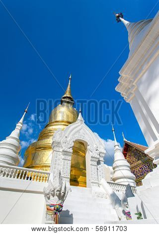 The golden pagoda at Wat Suan Dok temple in Chiang Mai, Thailand