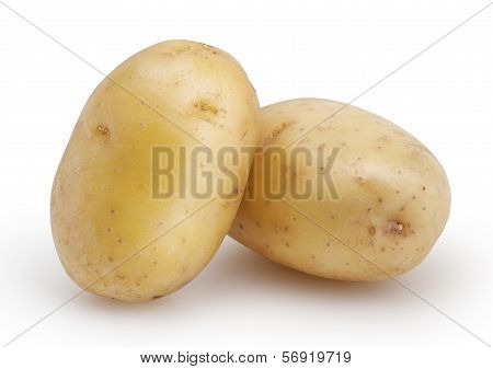 Two Potatoes Isolated On White Background With Clipping Path