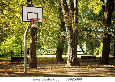 Basketball Field