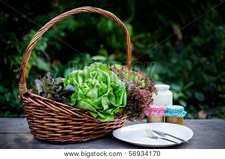 Salad