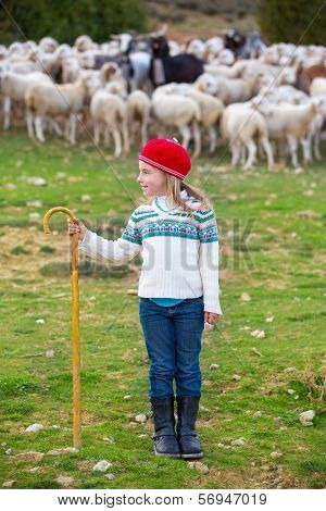 Kid girl shepherdess happy with flock of sheep and wooden stick in Spain