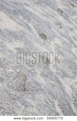 Steps In The Untouched Beach Sand