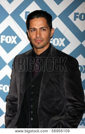 LOS ANGELES - JAN 13:  Nicholas Gonzalez at the FOX TCA Winter 2014 Party at Langham Huntington Hotel on January 13, 2014 in Pasadena, CA