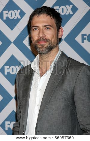 LOS ANGELES - JAN 13:  Adam Rayner at the FOX TCA Winter 2014 Party at Langham Huntington Hotel on January 13, 2014 in Pasadena, CA