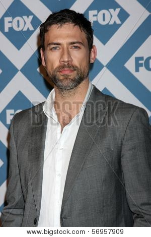 LOS ANGELES - JAN 13:  Adam Rayner at the FOX TCA Winter 2014 Party at Langham Huntington Hotel on January 13, 2014 in Pasadena, CA
