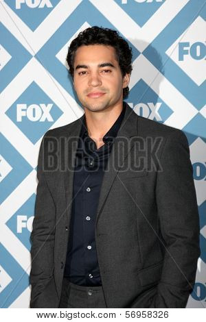 LOS ANGELES - JAN 13:  Ramon Rodriguez at the FOX TCA Winter 2014 Party at Langham Huntington Hotel on January 13, 2014 in Pasadena, CA