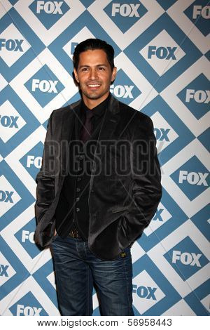 LOS ANGELES - JAN 13:  Nicholas Gonzalez at the FOX TCA Winter 2014 Party at Langham Huntington Hotel on January 13, 2014 in Pasadena, CA