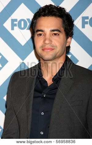 LOS ANGELES - JAN 13:  Ramon Rodriguez at the FOX TCA Winter 2014 Party at Langham Huntington Hotel on January 13, 2014 in Pasadena, CA