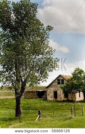 Old Homestead