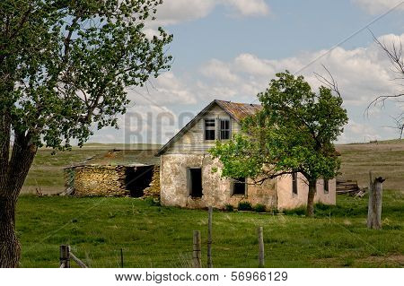 Old Homestead