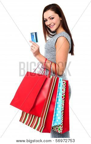 Fashionable Female With Shopping Bags