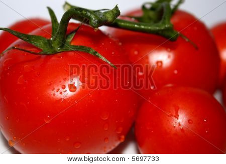 Pomodori