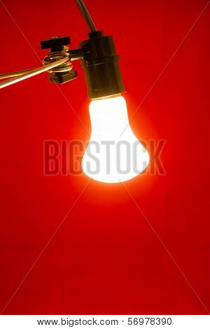 Lamp