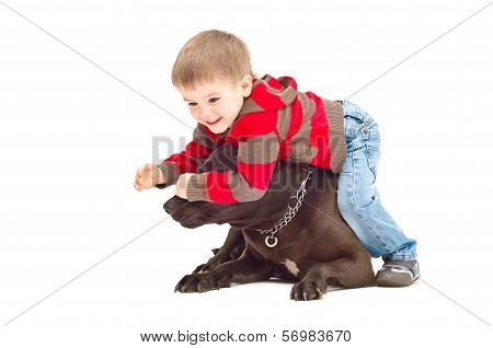 Child playing with dog