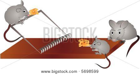 Mössen medan du spelar säga...Mer ost Vänligen!