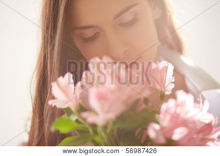 Portrait of lovely lady looking at flowers and smelling them