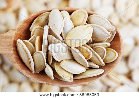 Pumpkin seeds in spoon close up