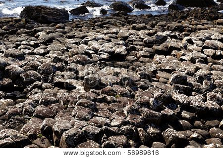 The famous Giant's Causeway of Northern Ireland