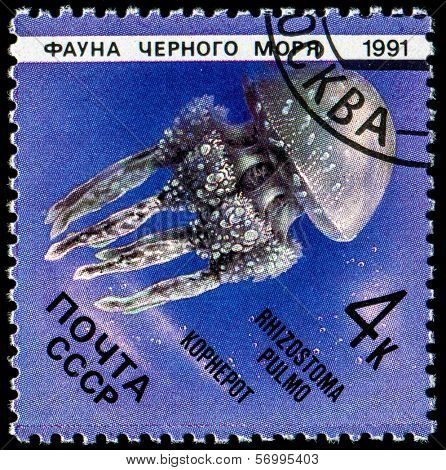 USSR - CIRCA 1991: A stamp printed in the USSR showing Medusa (Rhizostoma pulmo kophepot) circa 1991 