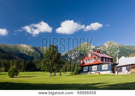 Beautiful chalet beneath the mountains