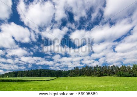 Summer countryside with green field and amazing blue sky with white clouds