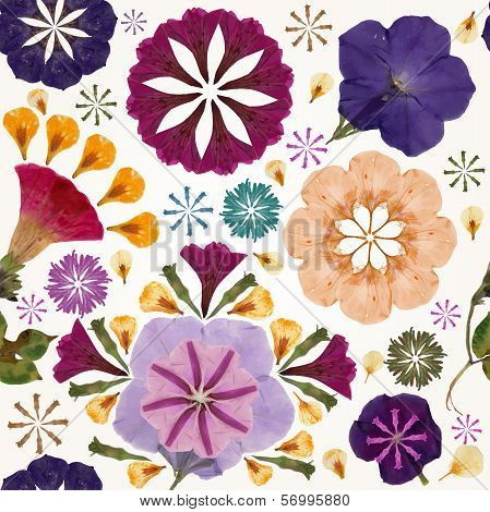 Seamless pattern with flowers. Vector, EPS10.