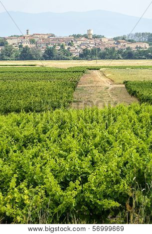 Landscape Near Carcassonne