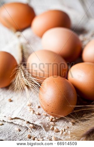  fresh brown eggs, wheat seeds and ears on linen background 