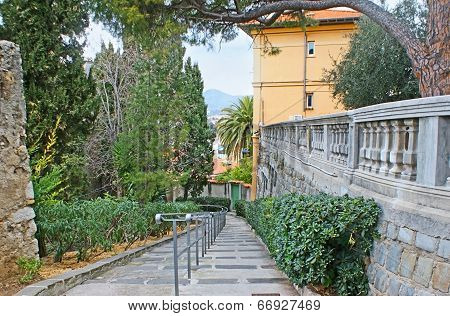 The Way On The Hill