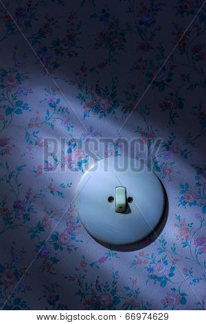an old wallpaper with light switch. symbolic photo for renovation and remodel.