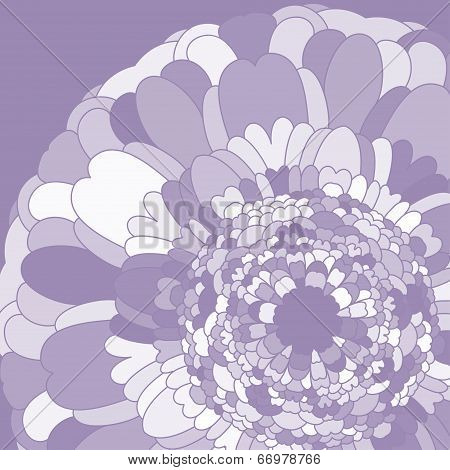 lilac flower