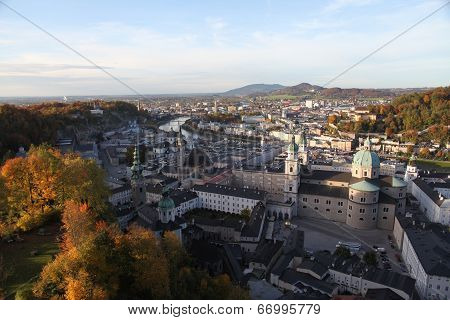 view
