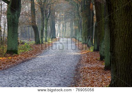 Country Road.