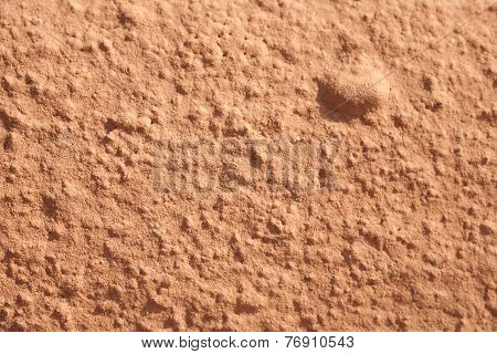 Bumped Plaster Texture Background In Sunglight
