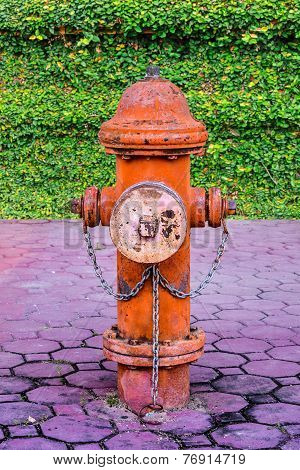 Fire Hydrant.
