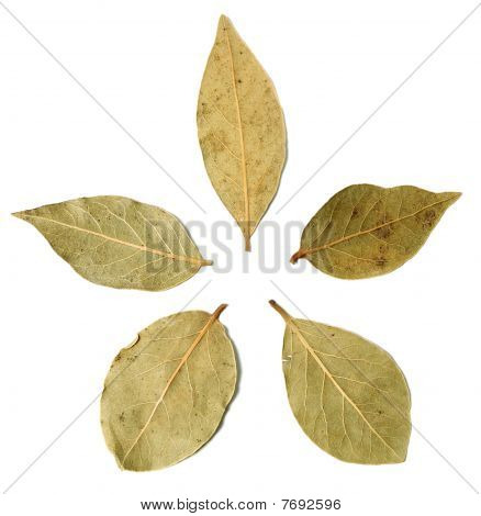 Laurierblaadjes