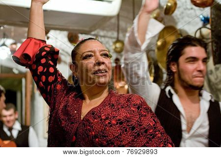 Flamenco Performance At Sacromonte Cave